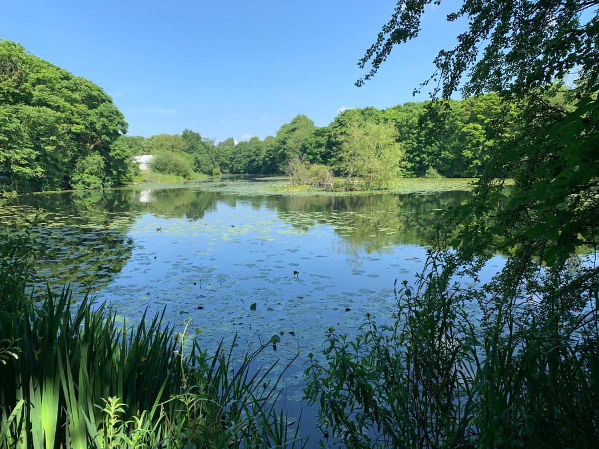 Beautiful Next To Lakes And River *